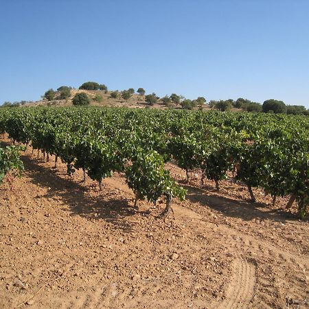 Hotel Torremilanos Aranda de Duero Ngoại thất bức ảnh