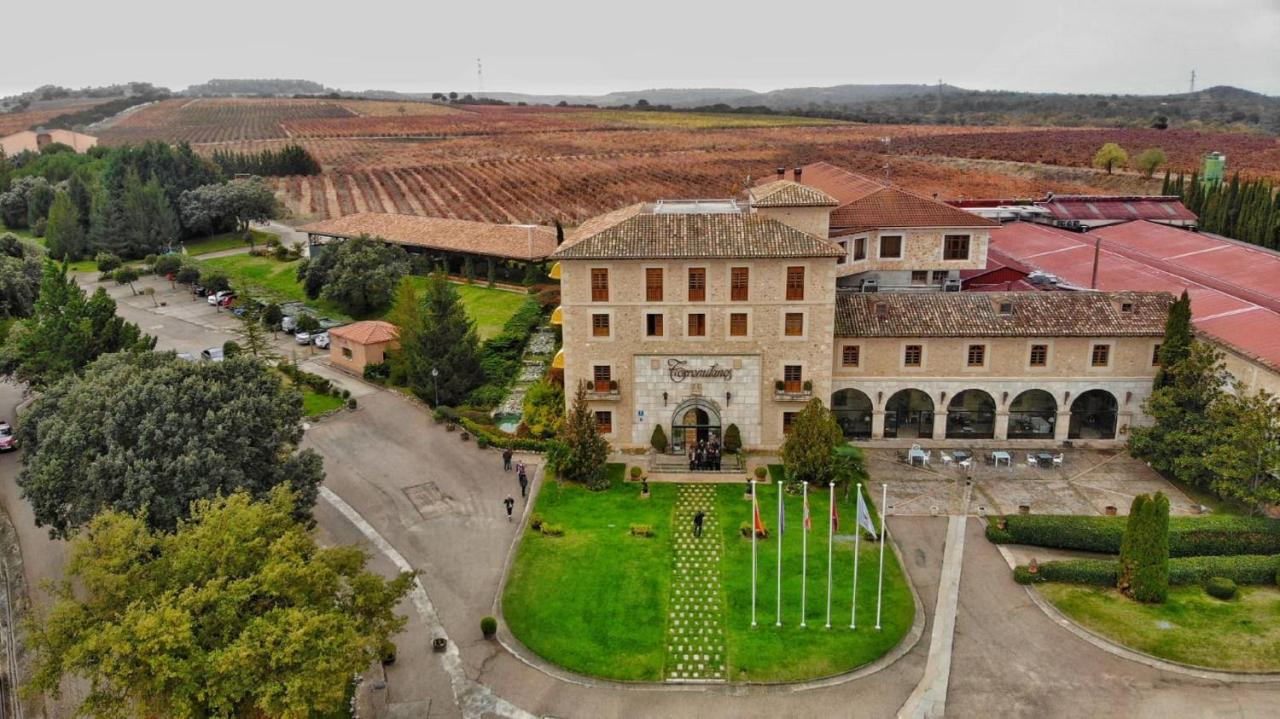 Hotel Torremilanos Aranda de Duero Ngoại thất bức ảnh