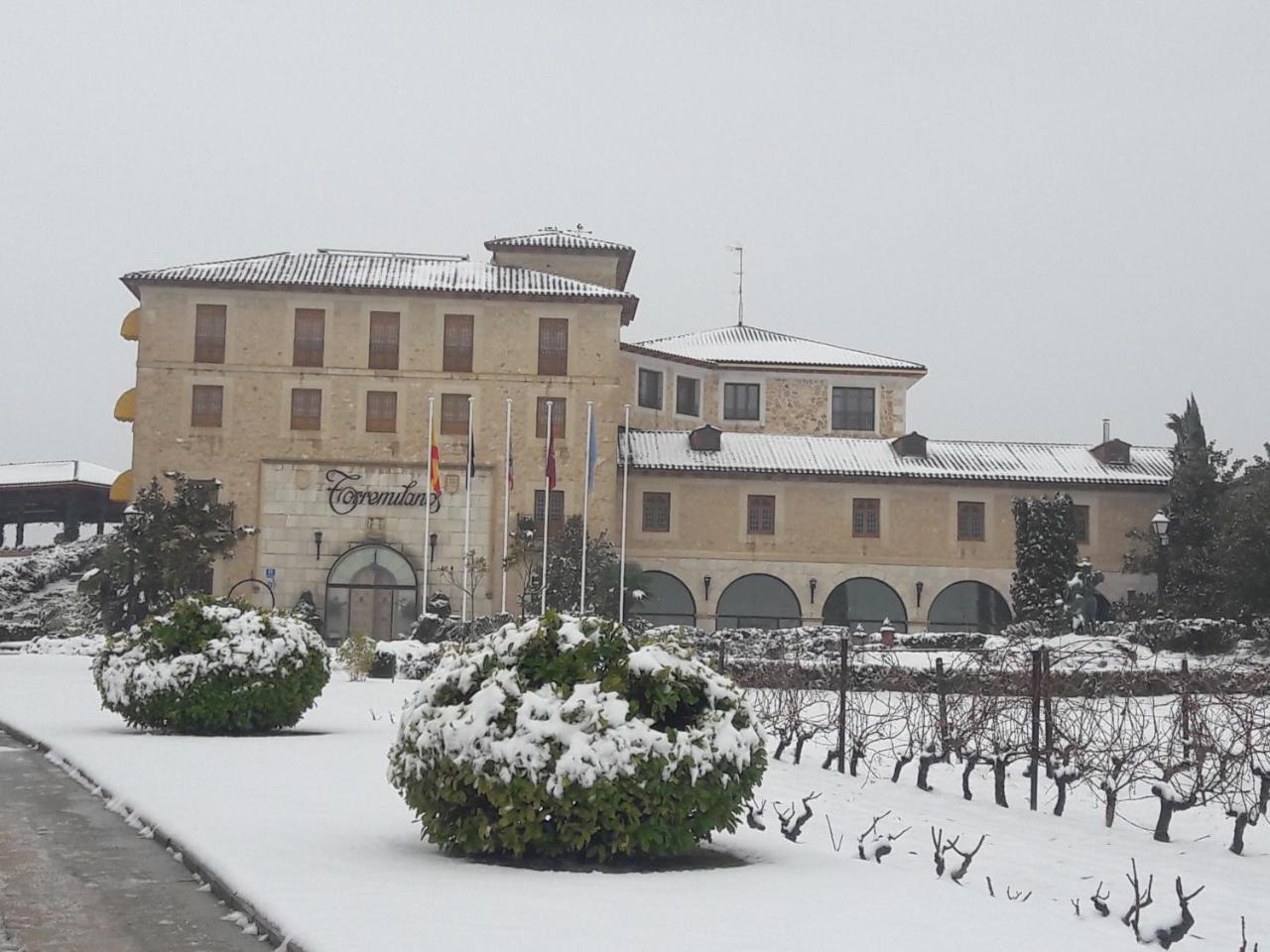Hotel Torremilanos Aranda de Duero Ngoại thất bức ảnh