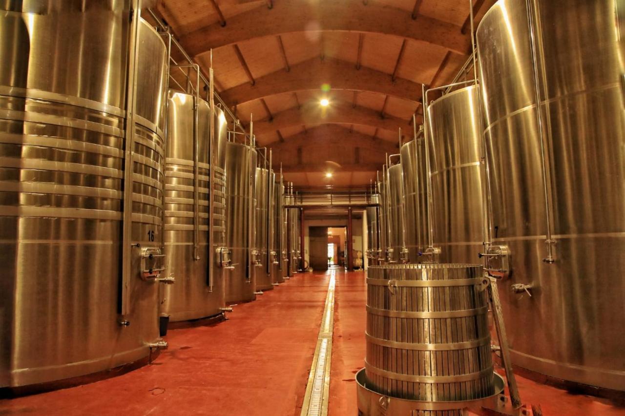 Hotel Torremilanos Aranda de Duero Ngoại thất bức ảnh