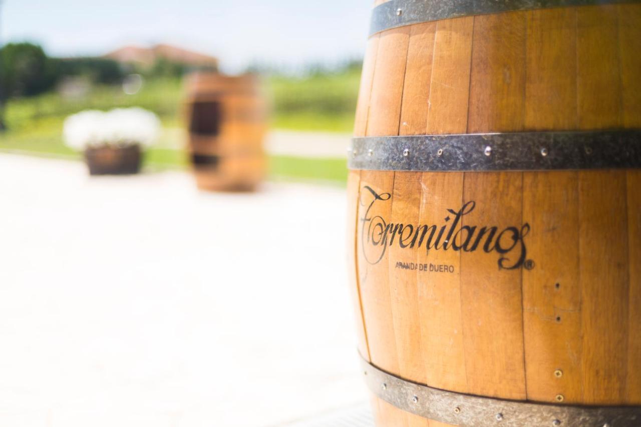 Hotel Torremilanos Aranda de Duero Ngoại thất bức ảnh