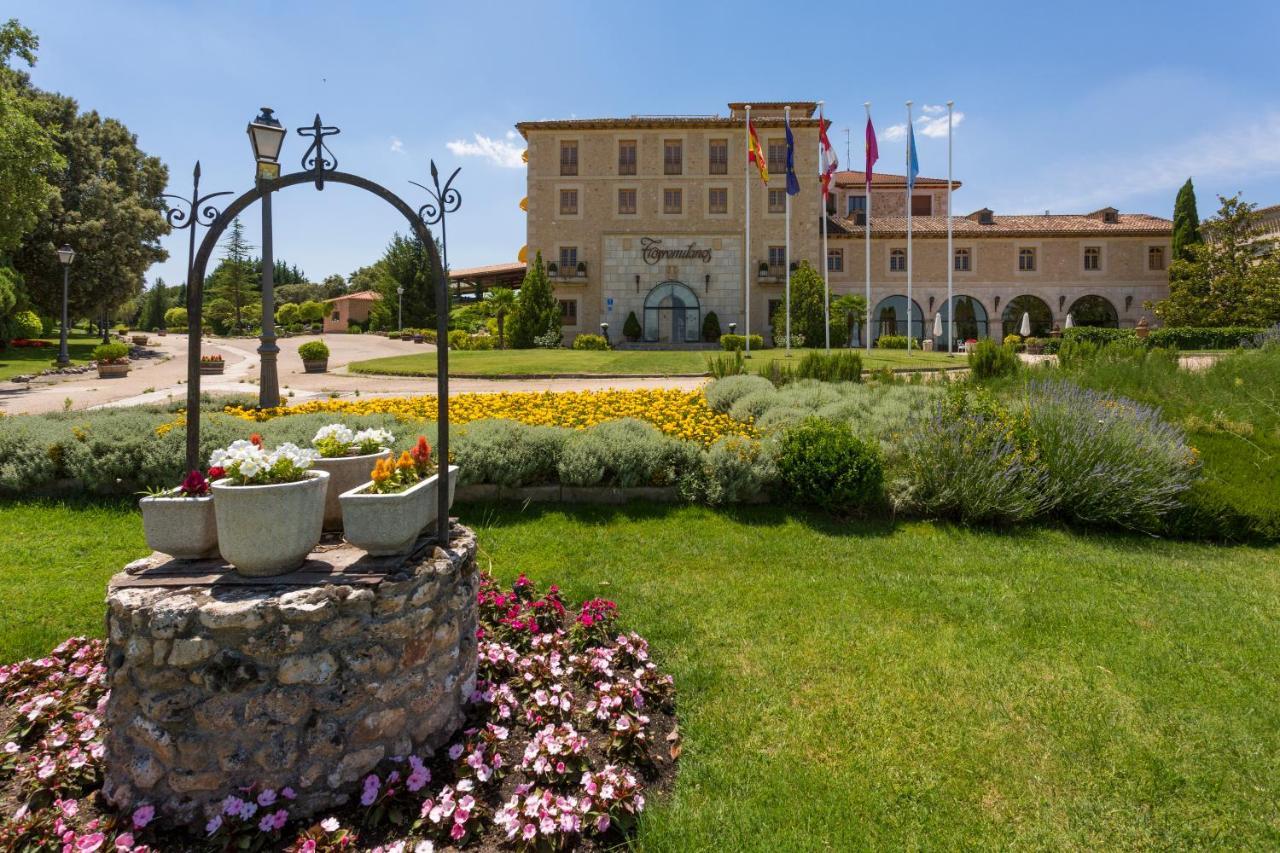 Hotel Torremilanos Aranda de Duero Ngoại thất bức ảnh