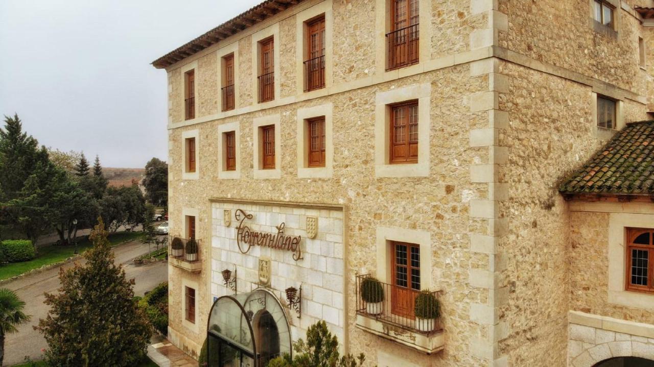 Hotel Torremilanos Aranda de Duero Ngoại thất bức ảnh